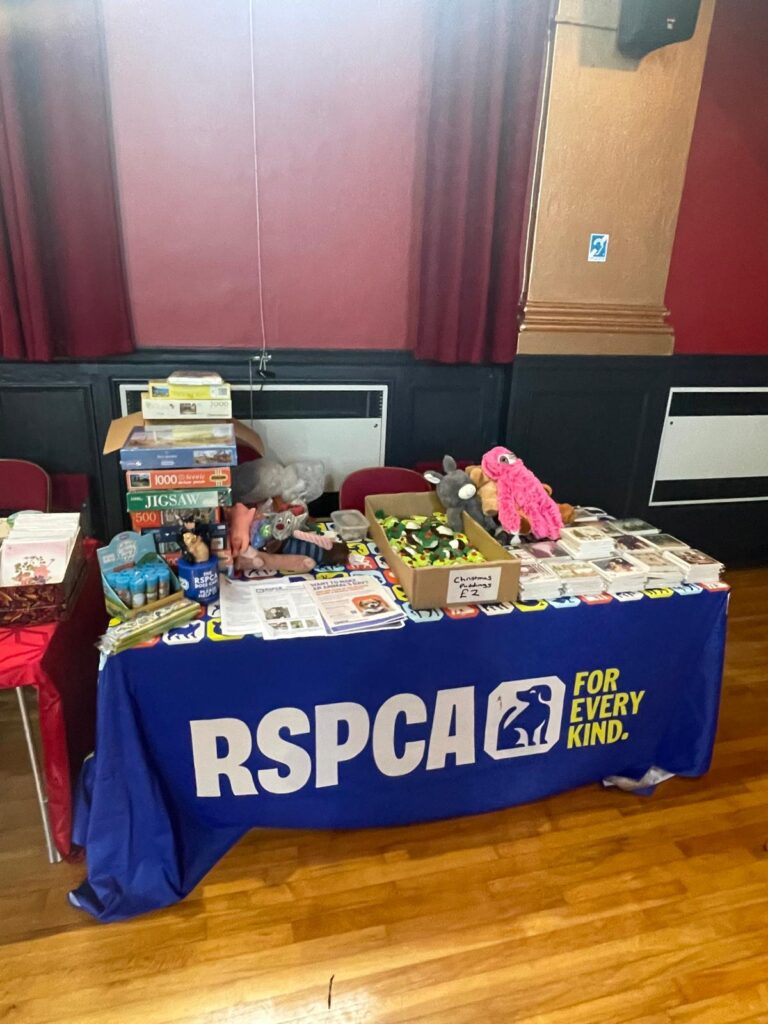 Haslemere Charities Fair 2025